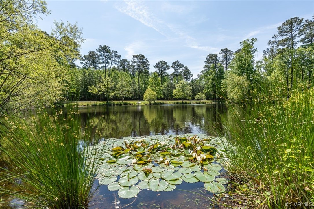 1177 Fleets Bay Road