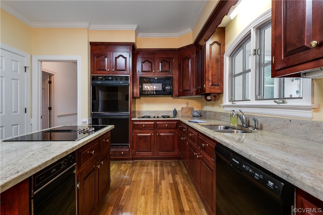 431 Dellbrooks Place