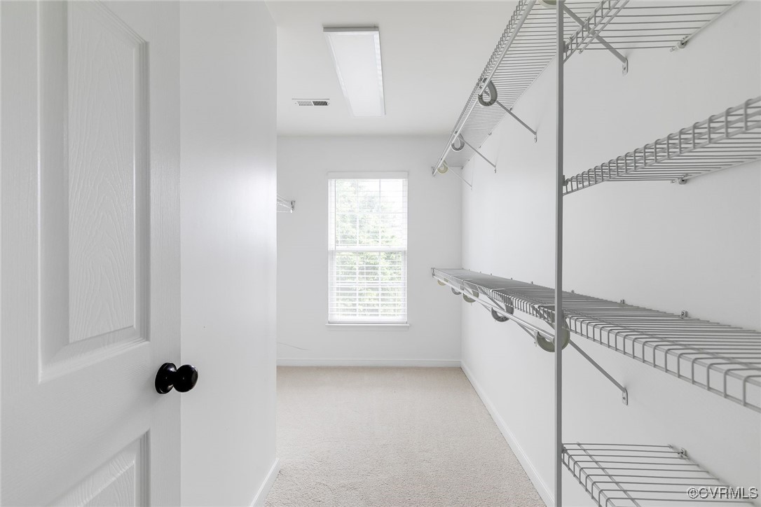 145 Hawk Nest Ct