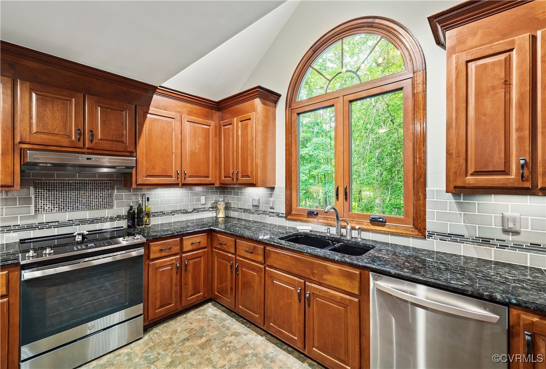 10910 Lesser Scaup Lndg