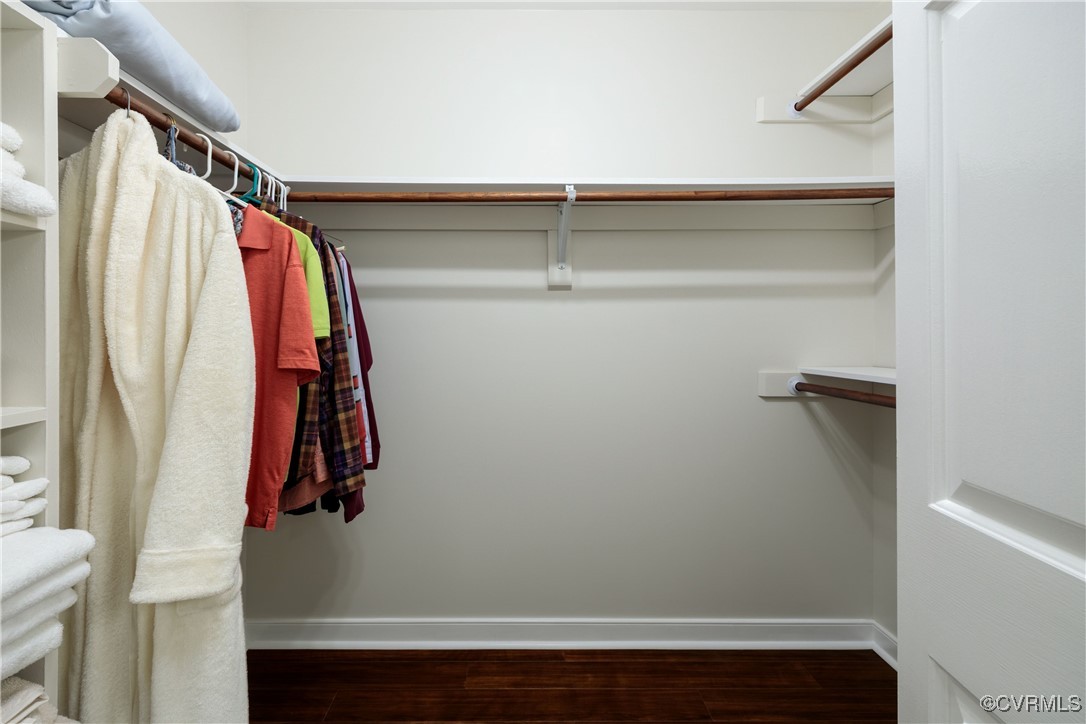 10910 Lesser Scaup Lndg