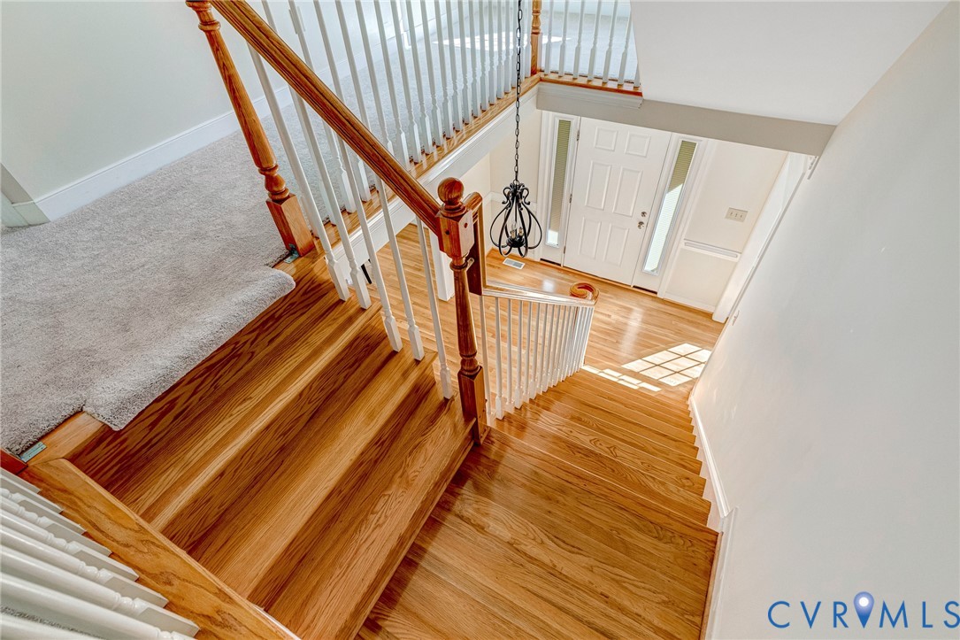 3304 Hazel Tree Ct