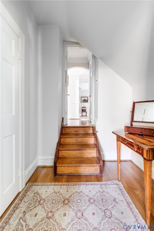 205 Ampthill Rd