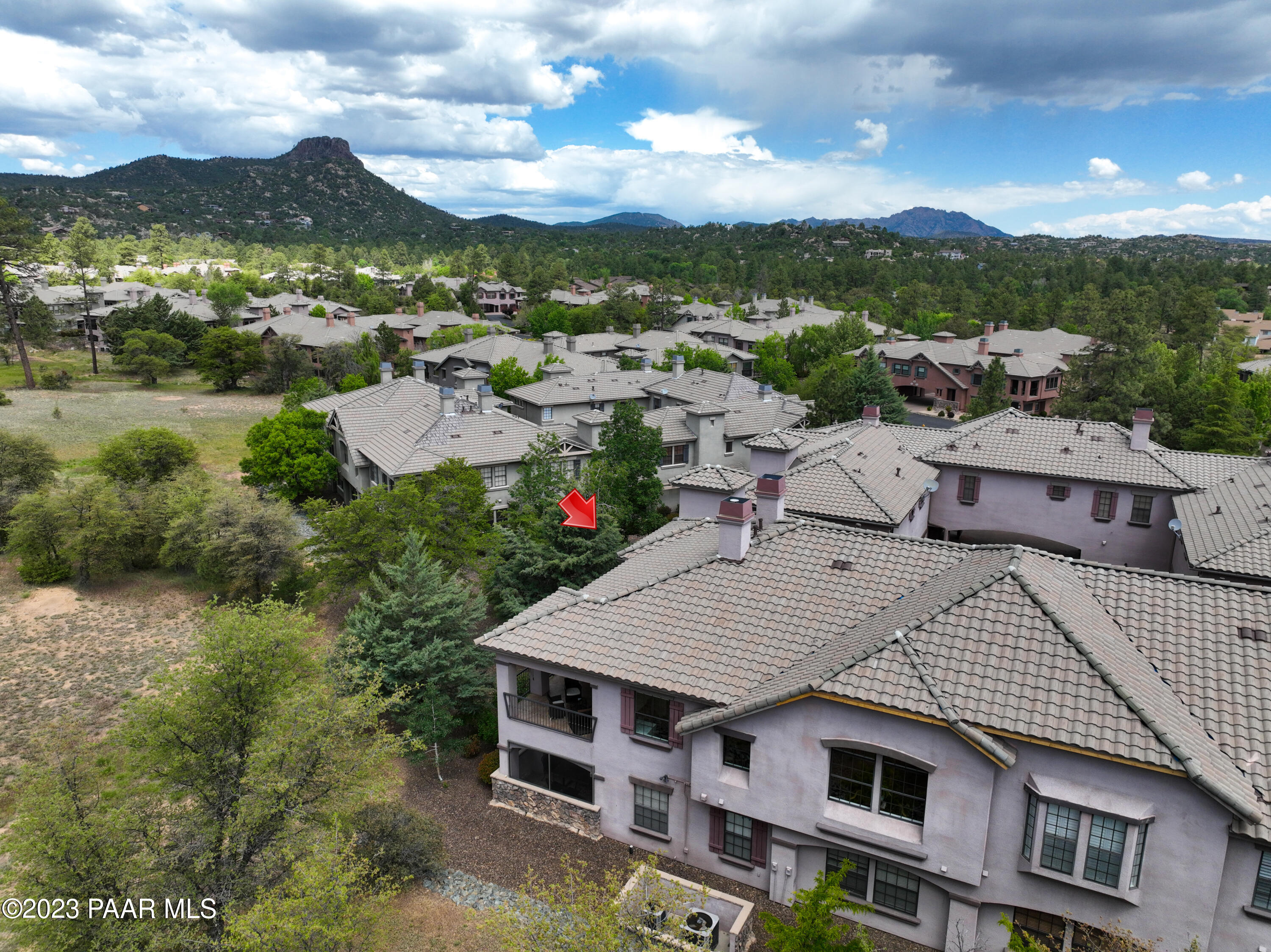 1716 Alpine Meadows Lane Unit: 1402