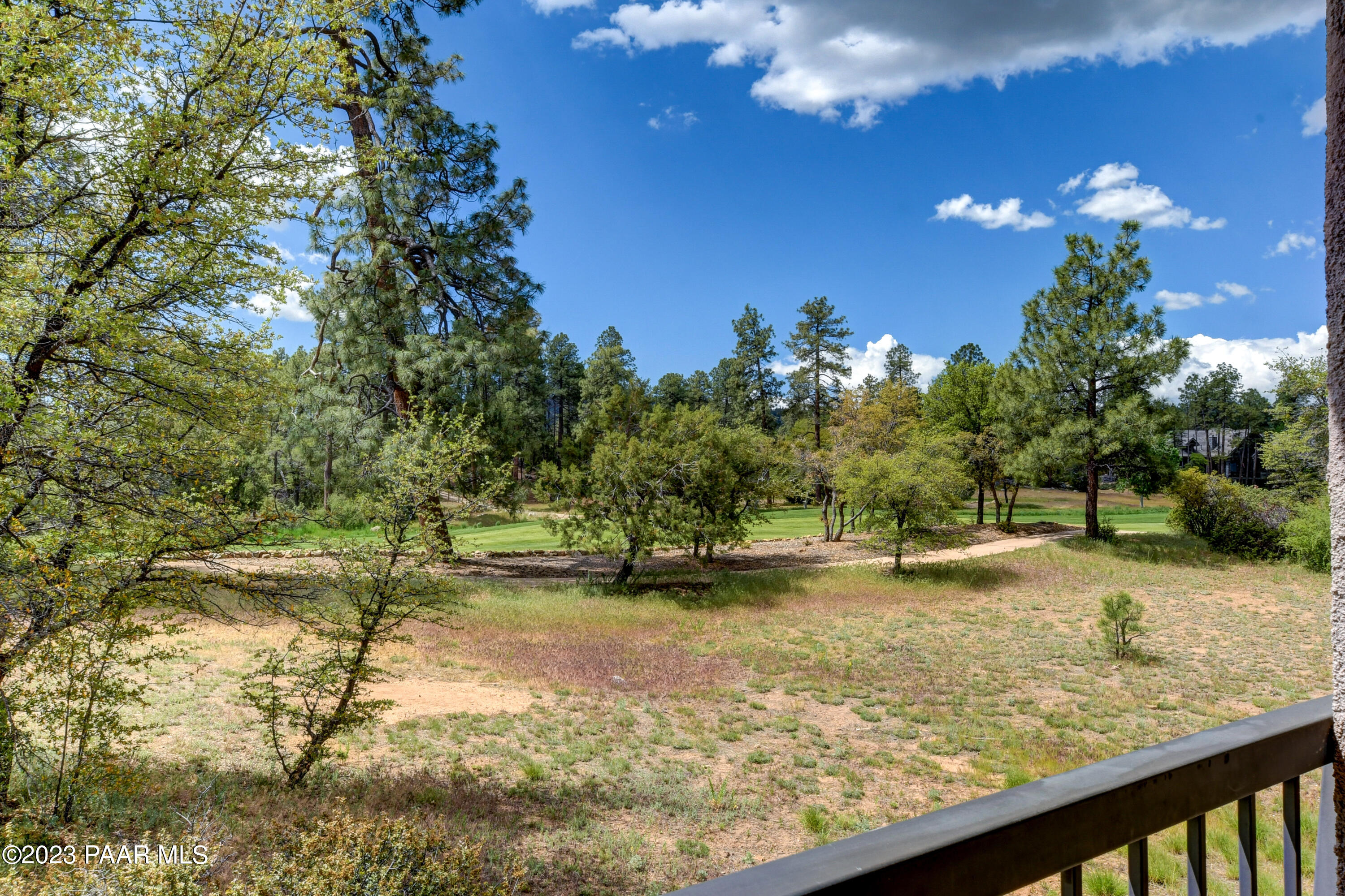 1716 Alpine Meadows Lane Unit: 1402