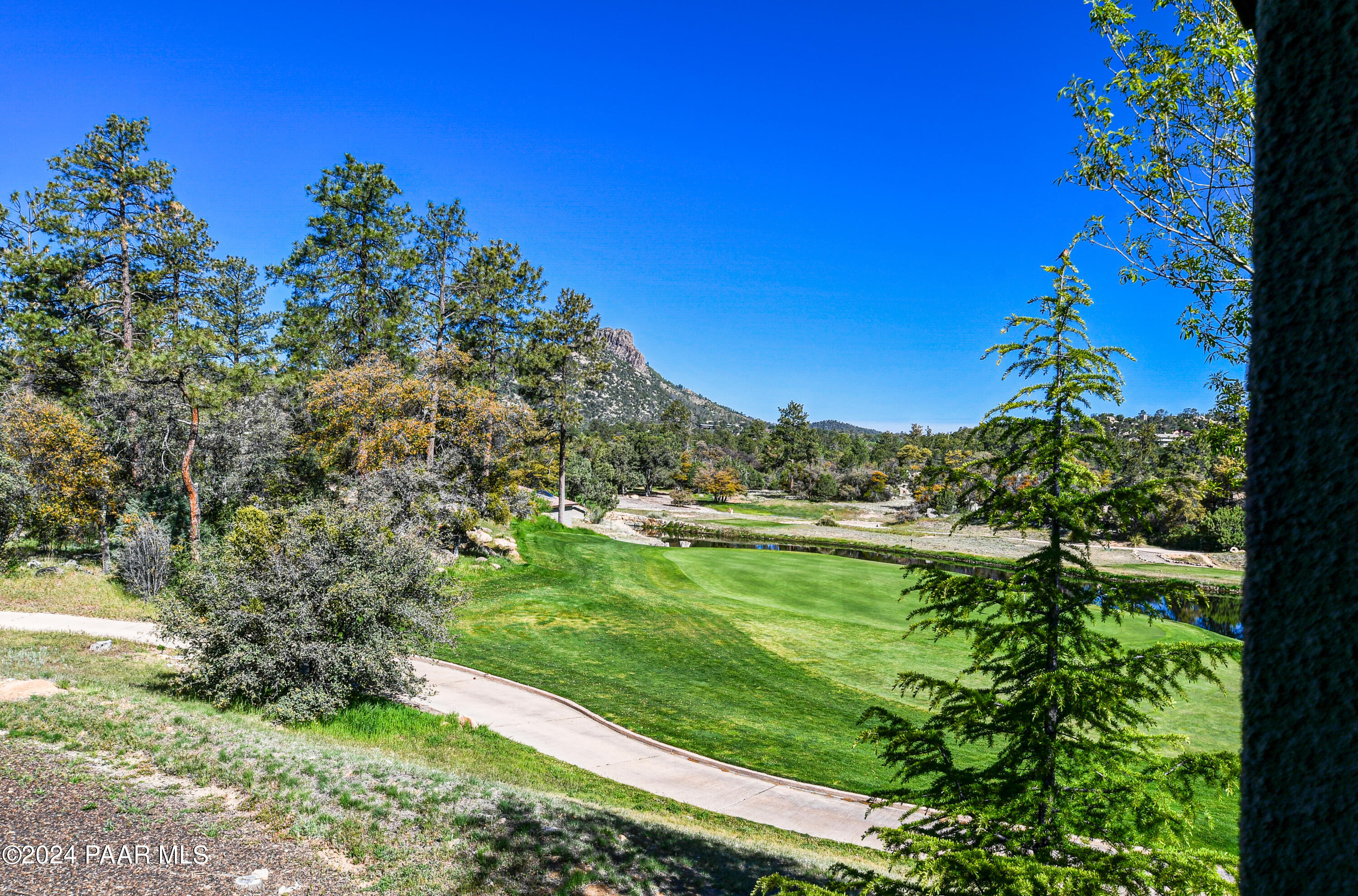 1716 Alpine Meadows Lane Unit: 1806