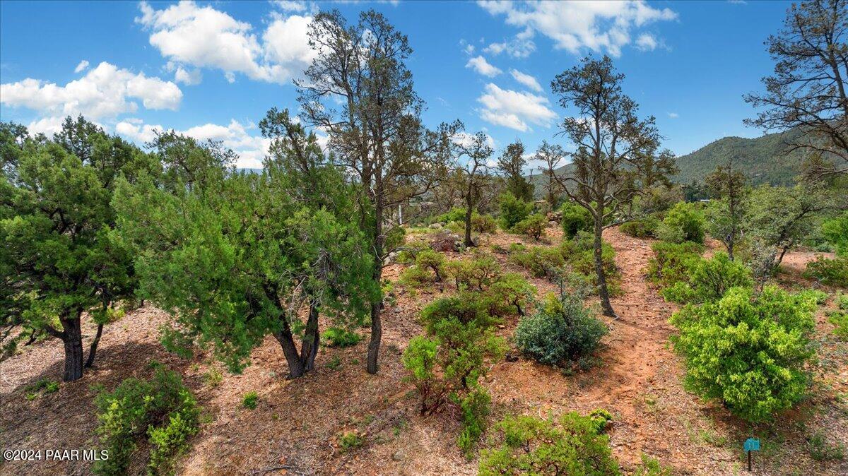 2115 Forest Mountain Road