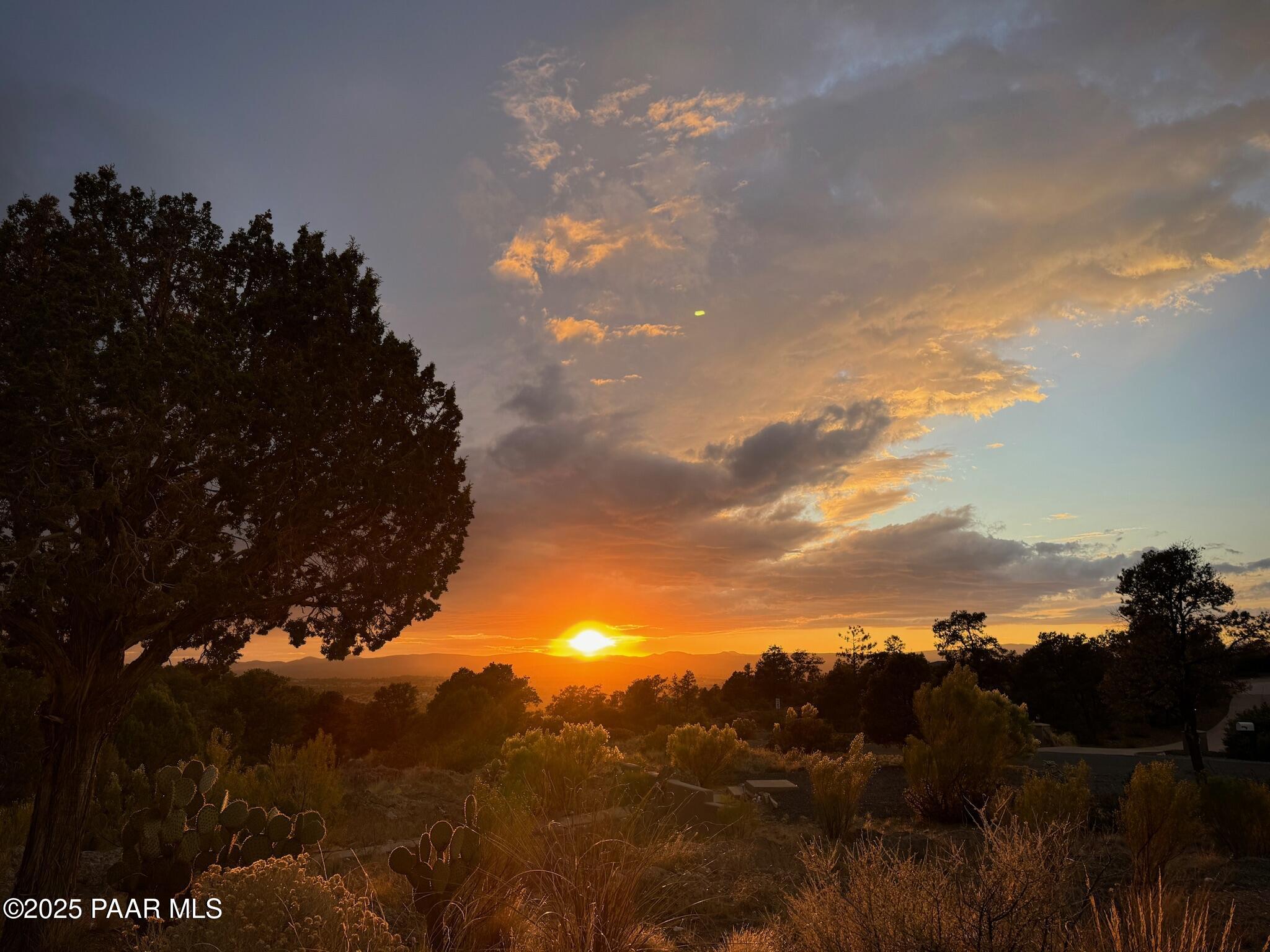 6575 W Leaning Bear Trail