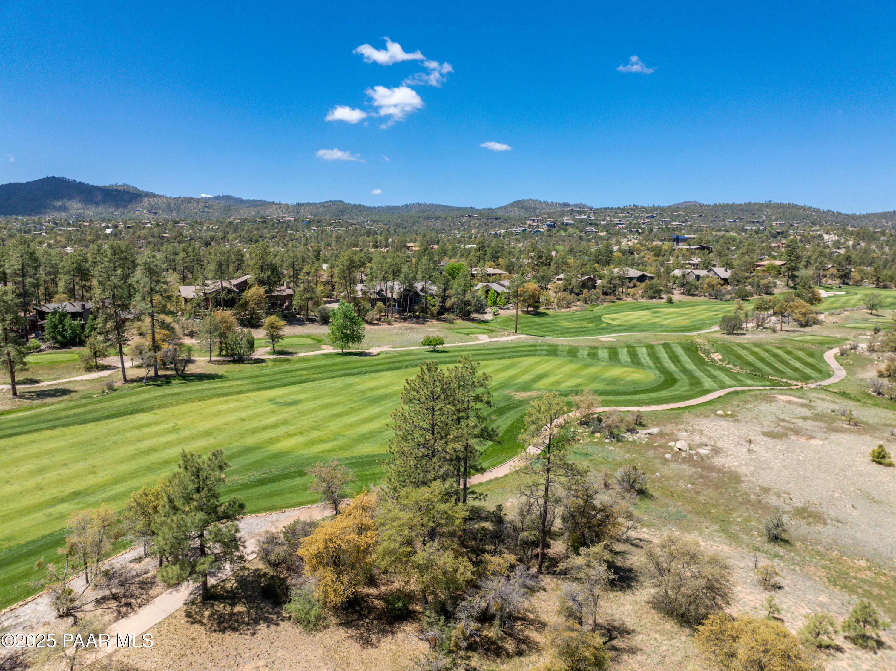 1716 Alpine Meadows Lane Unit: 1402