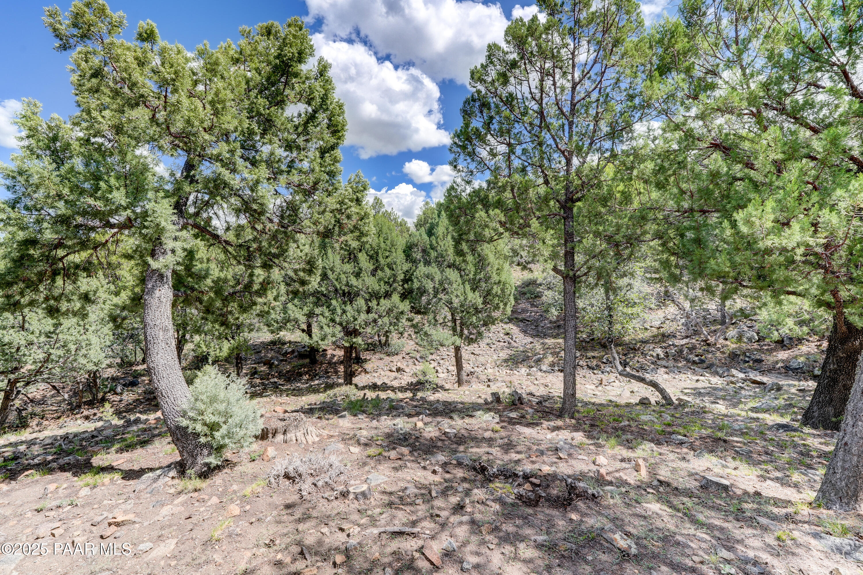 311 Copperstill Circle
