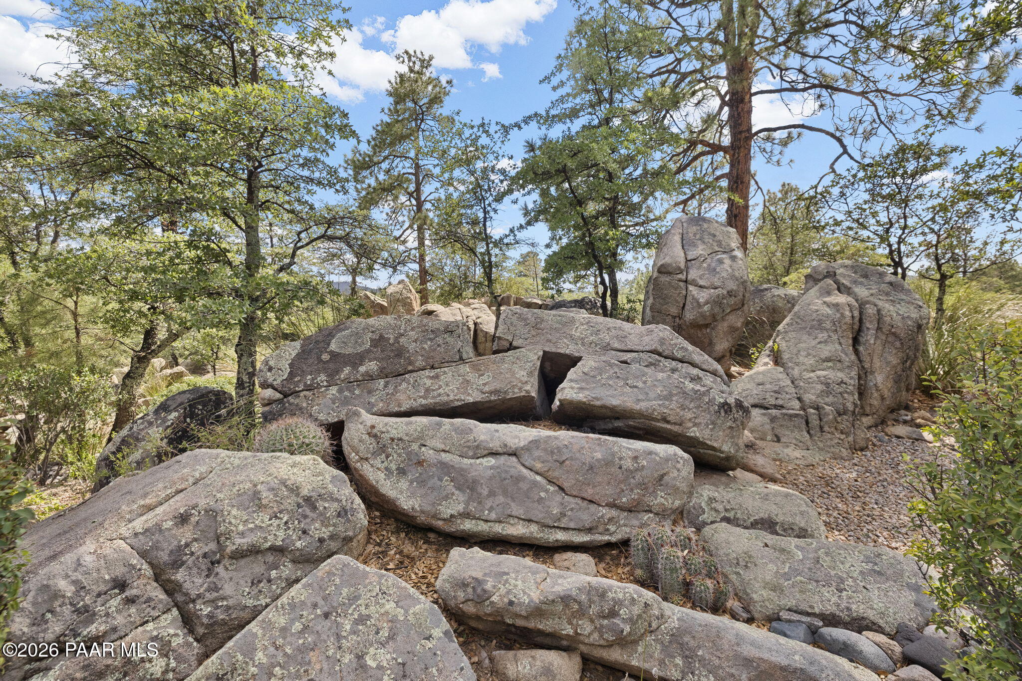 1612 Bent Tree Trail