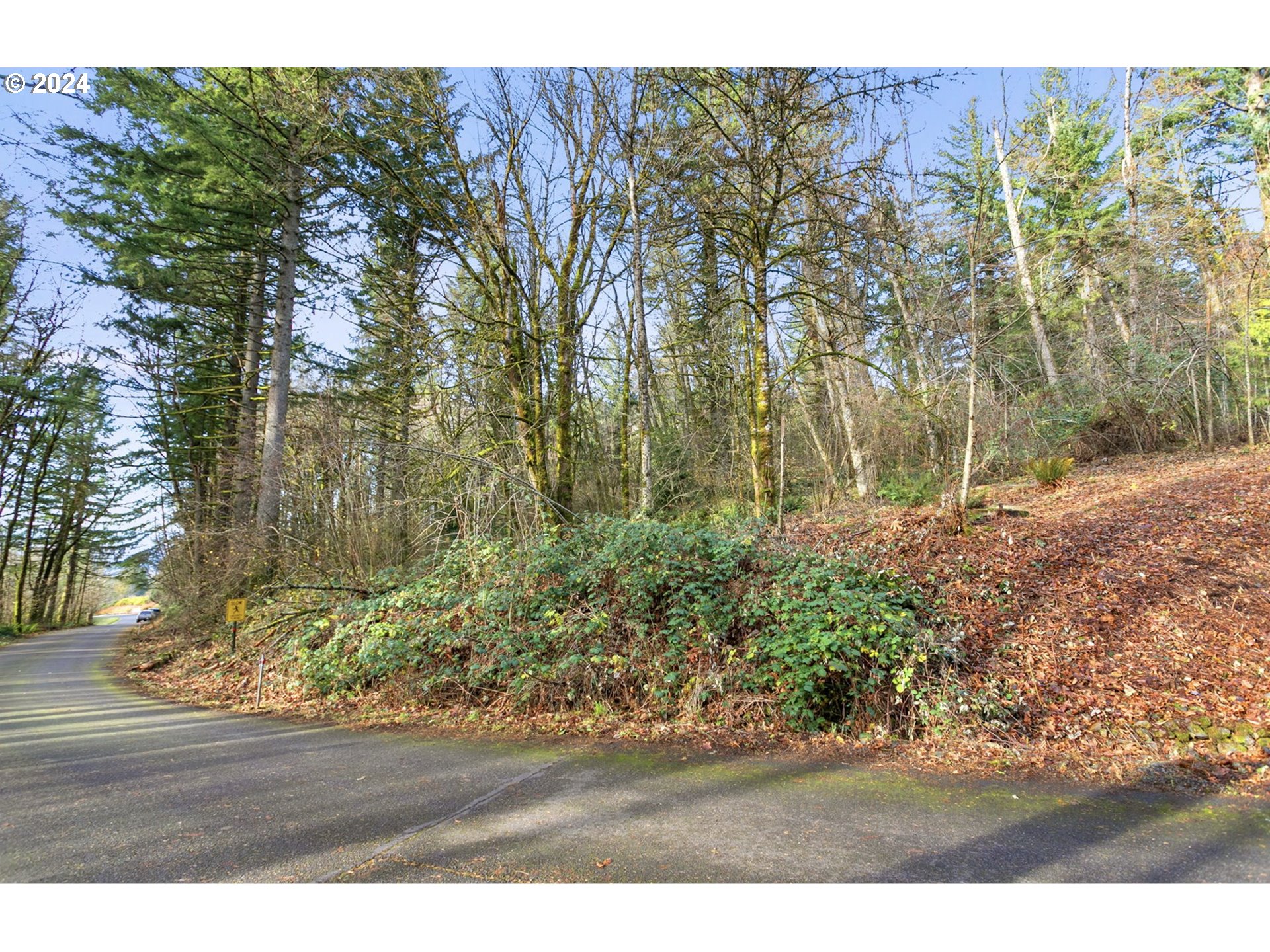 NW SALTZMAN RD