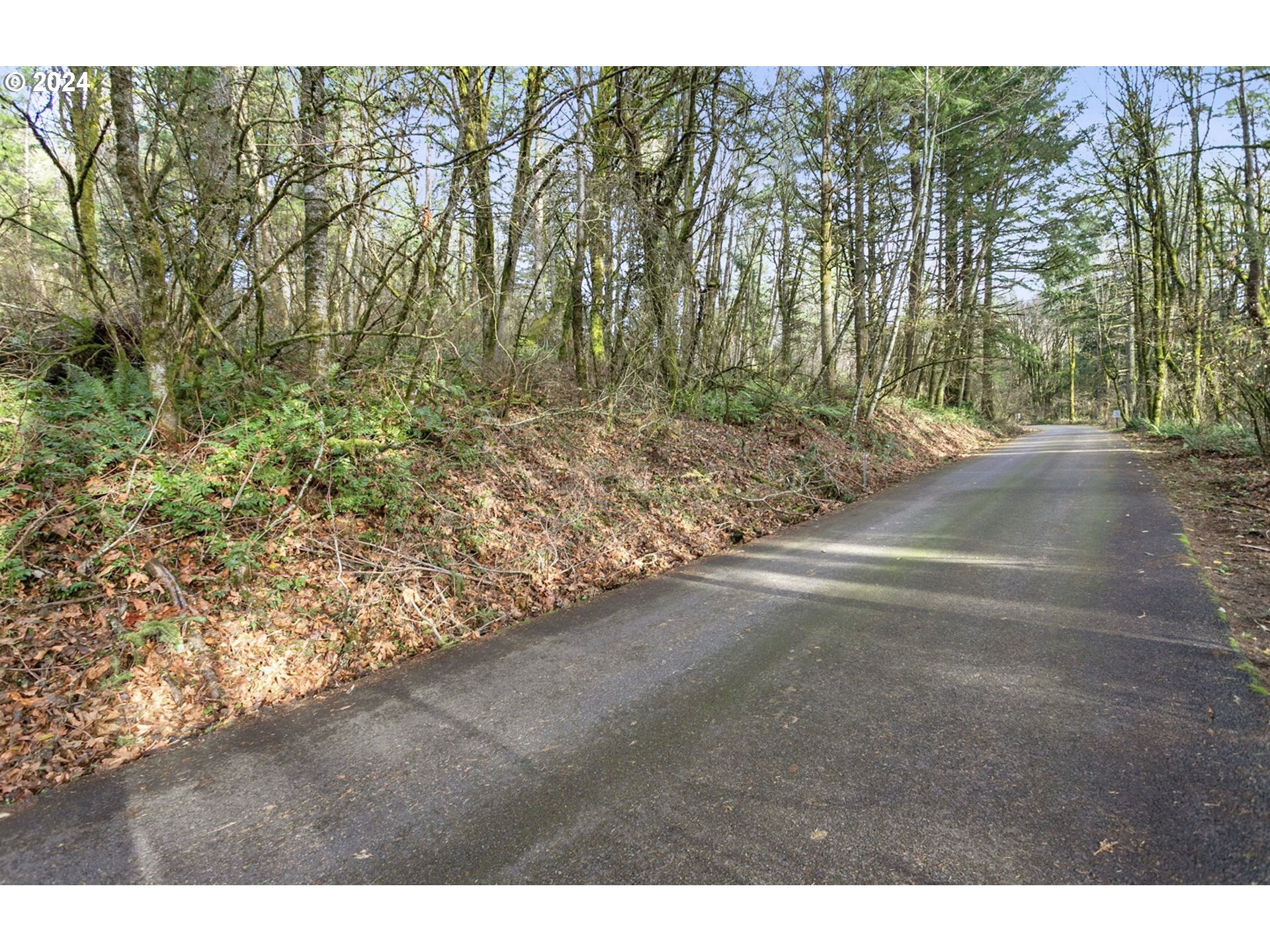 NW SALTZMAN RD