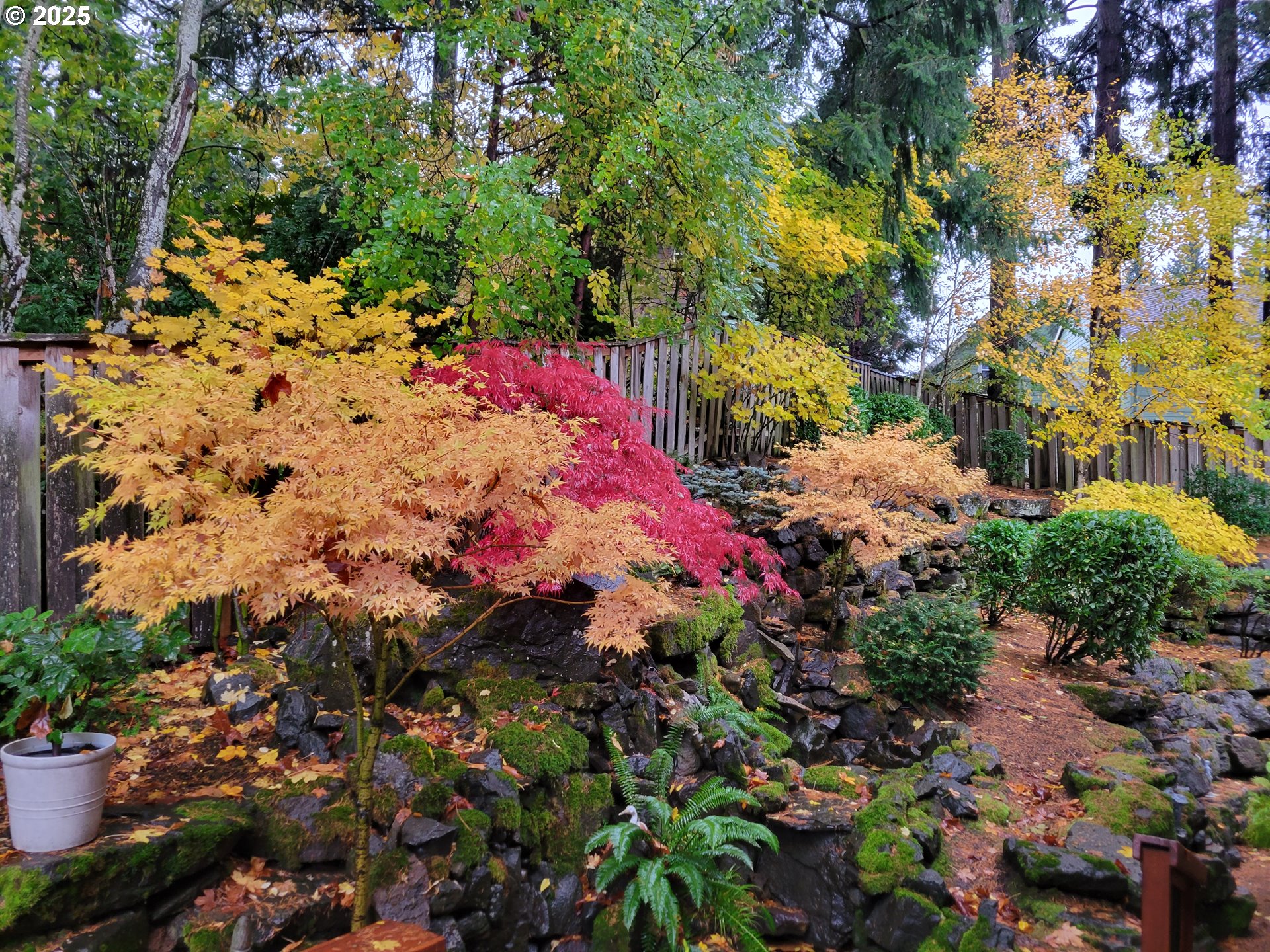 14079 SE ALTA VISTA DR