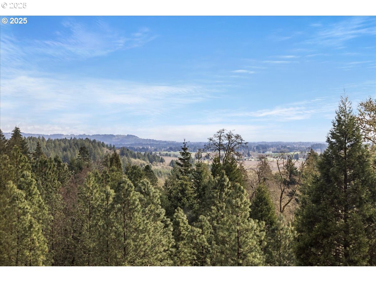 15043 NW ORCHARD VIEW RD, McMinnville