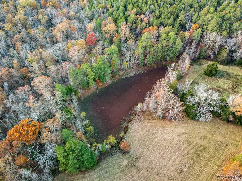 Aerial view of a pond bordered by autumn-colored woods and an open grassy field.