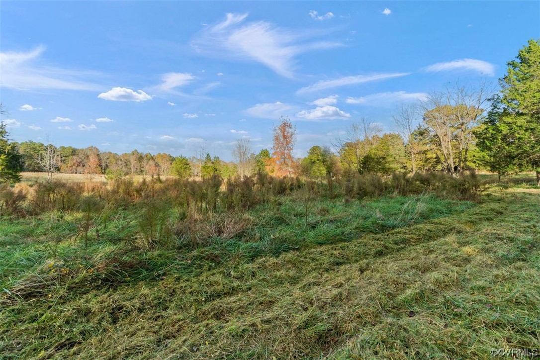Grassy vacant lot bordered by autumn trees beneath a blue sky.
