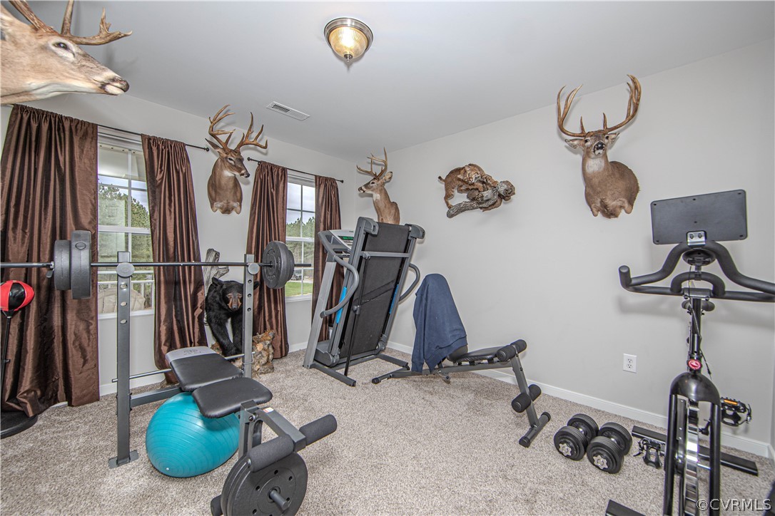 Home gym with weight equipment, dumbbells, and mounted deer heads on the walls.
