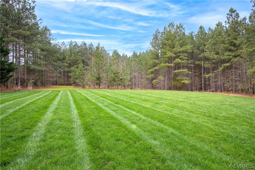 Wide striped lawn bordered by a dense pine tree line under a partly cloudy sky.