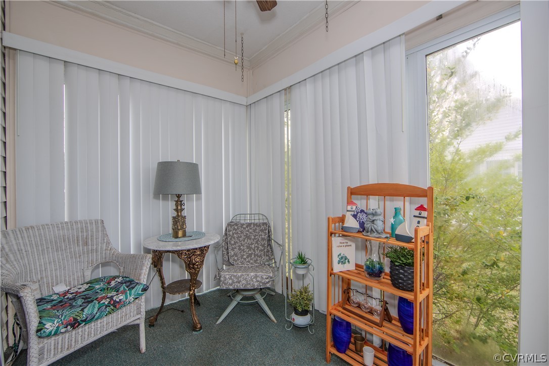 Furnished sunroom with wicker seating, vertical blinds, and a wooden shelf of plants beside a large window.