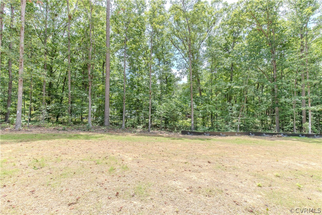 Cleared grassy yard bordered by mature woods and a low dark edging.