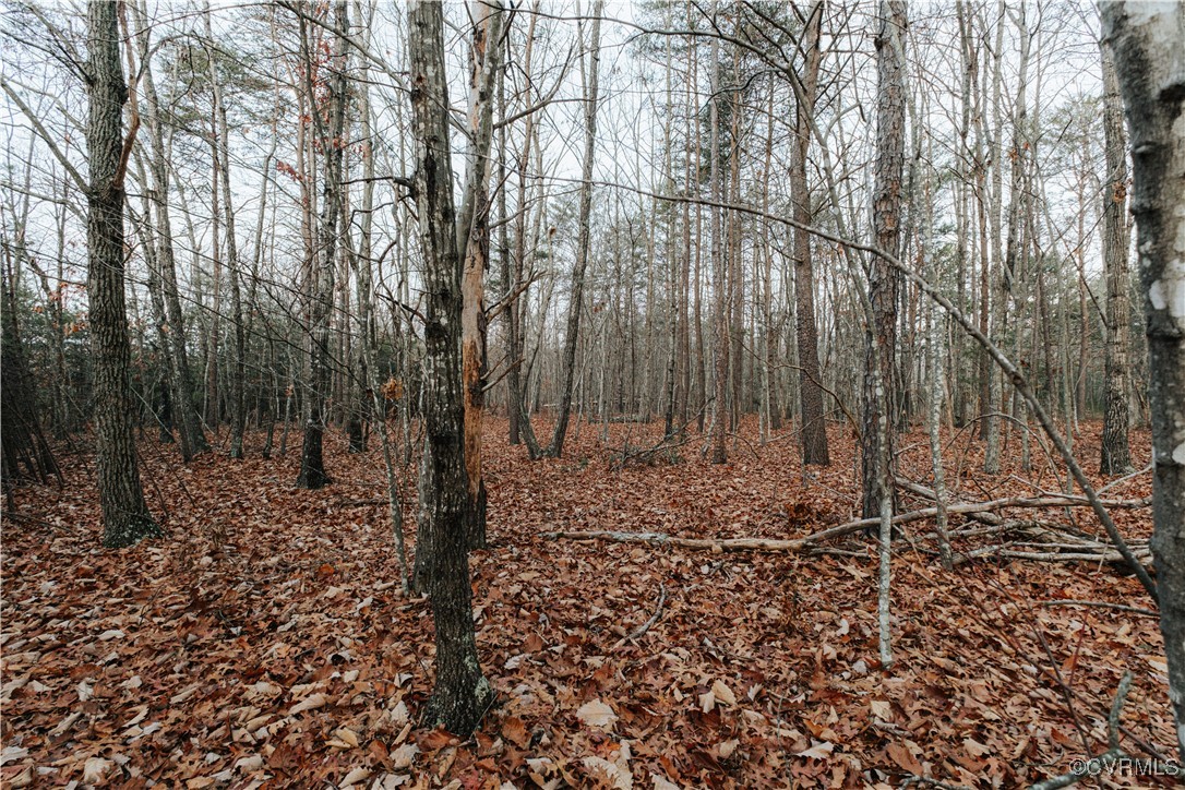 0 Texas School Rd