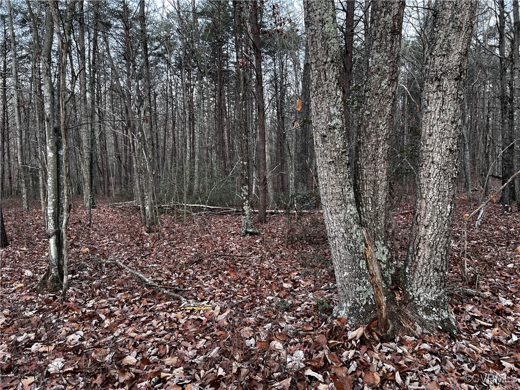 0 Texas School Rd