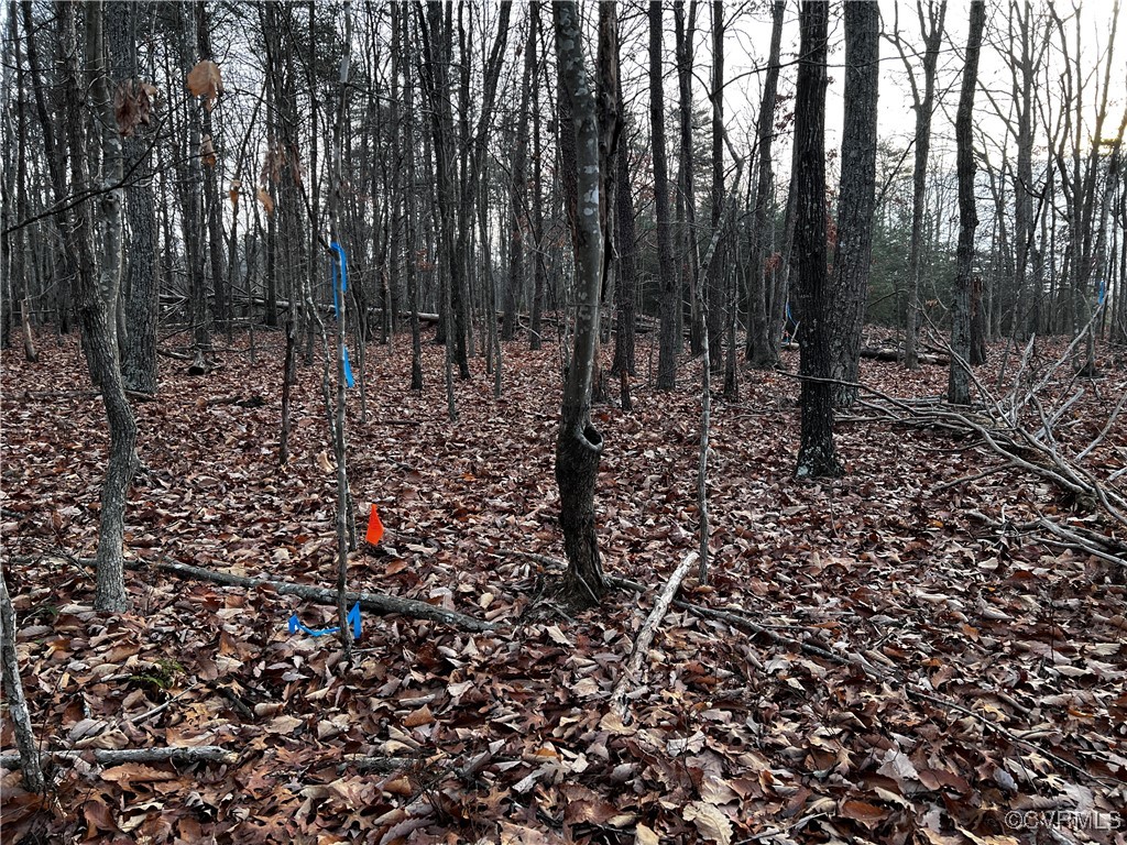 0 Texas School Rd