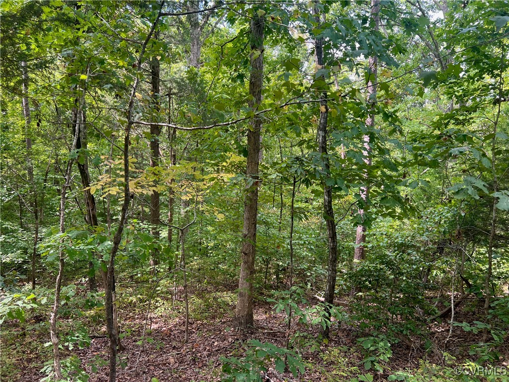 665 Schultz Mill Rd
