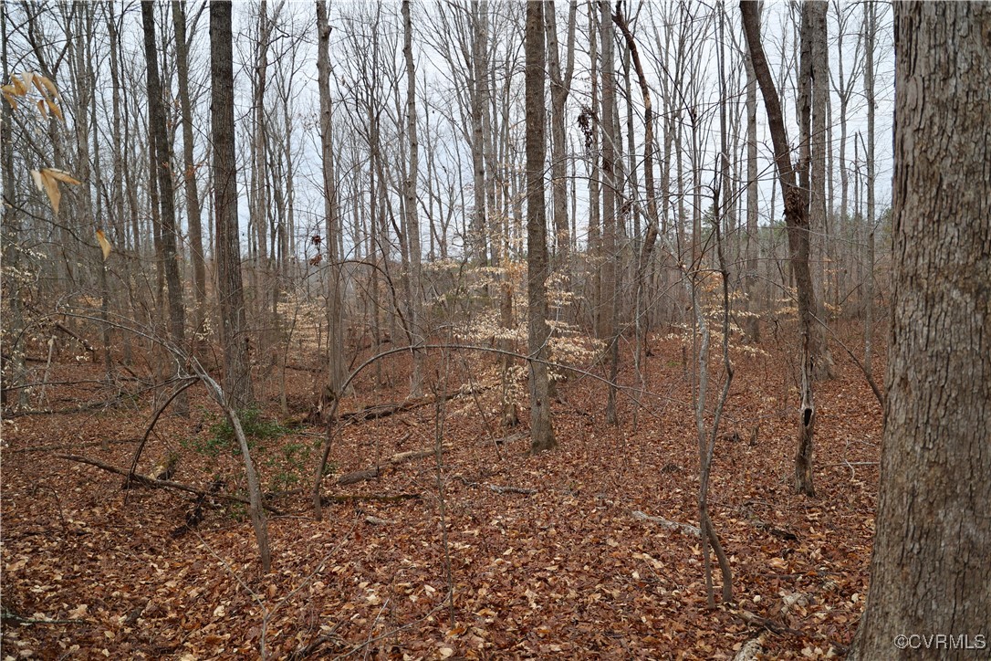 665 Schultz Mill Rd