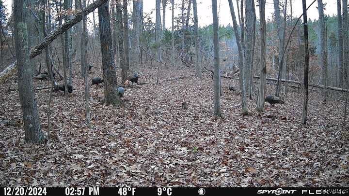 665 Schultz Mill Rd