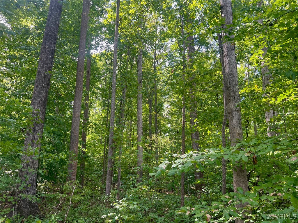665 Schultz Mill Rd