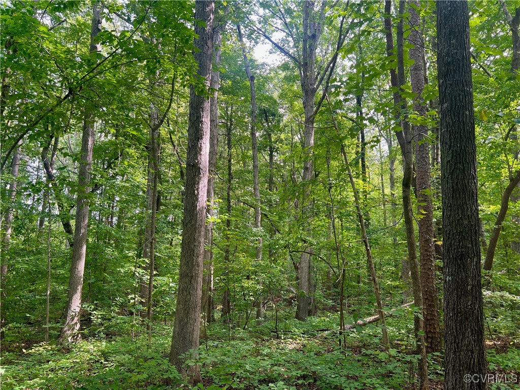 665 Schultz Mill Rd