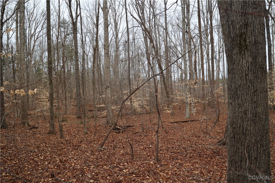 665 Schultz Mill Rd