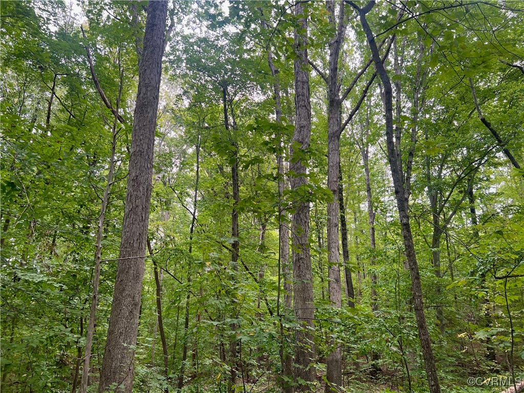 665 Schultz Mill Rd