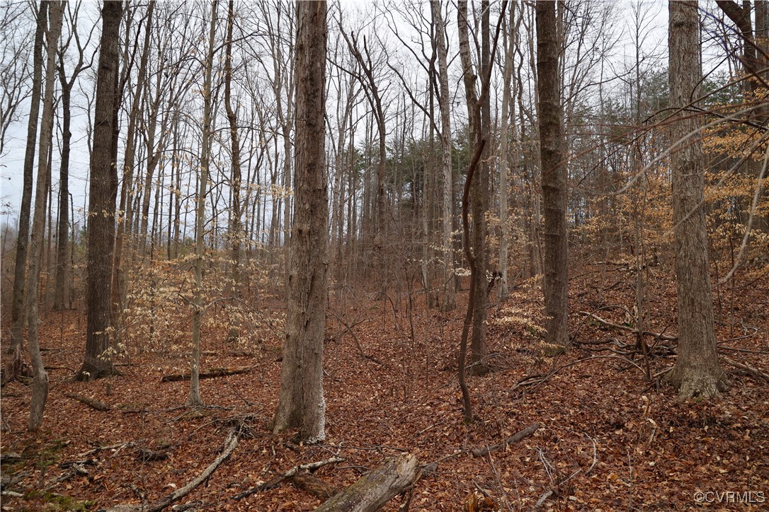 665 Schultz Mill Rd