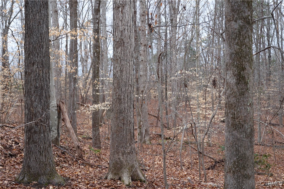 665 Schultz Mill Rd