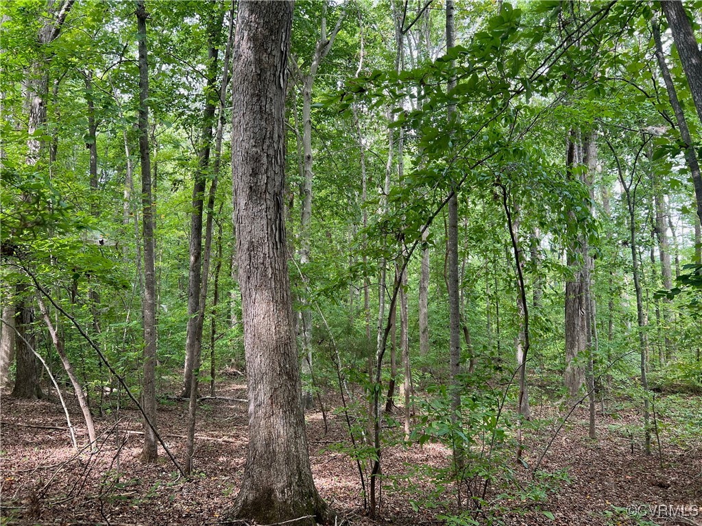 665 Schultz Mill Rd