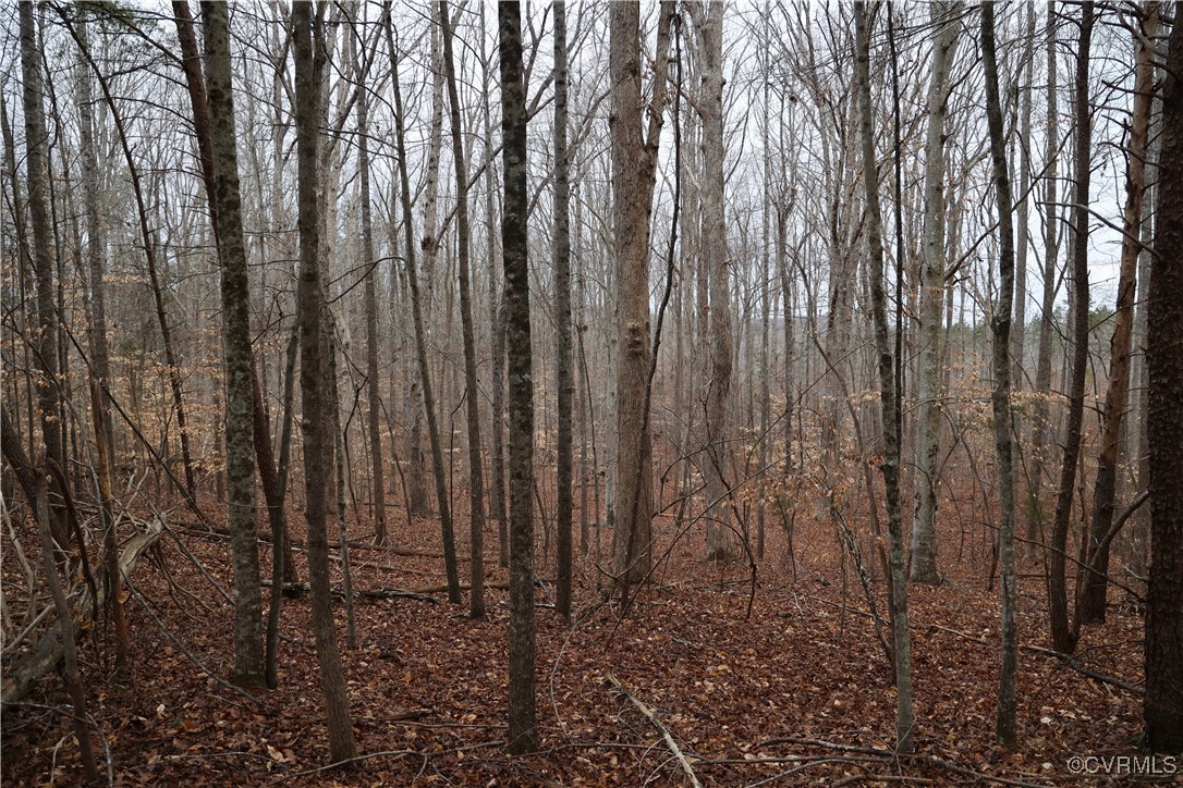 665 Schultz Mill Rd