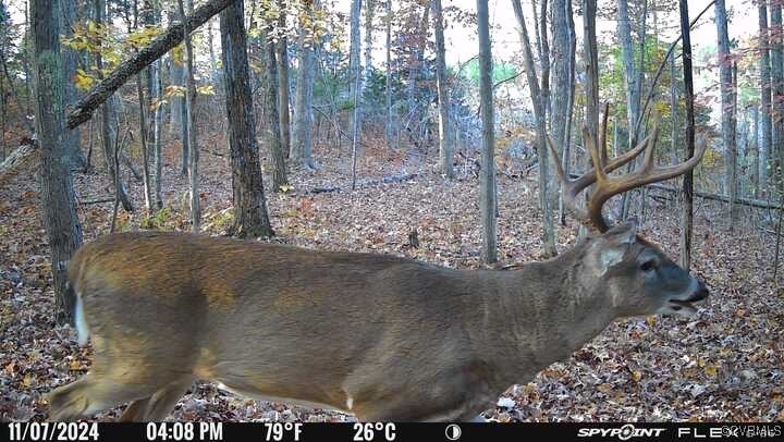 665 Schultz Mill Rd