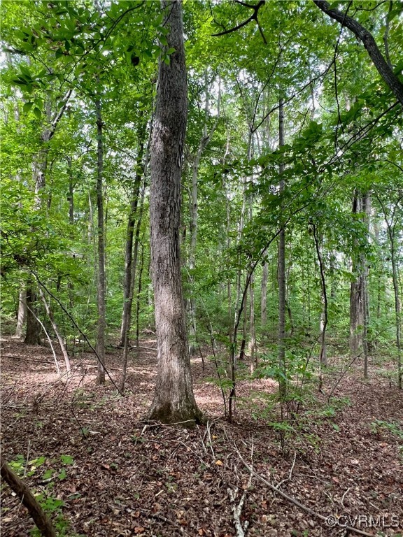 665 Schultz Mill Rd