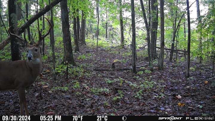 665 Schultz Mill Rd