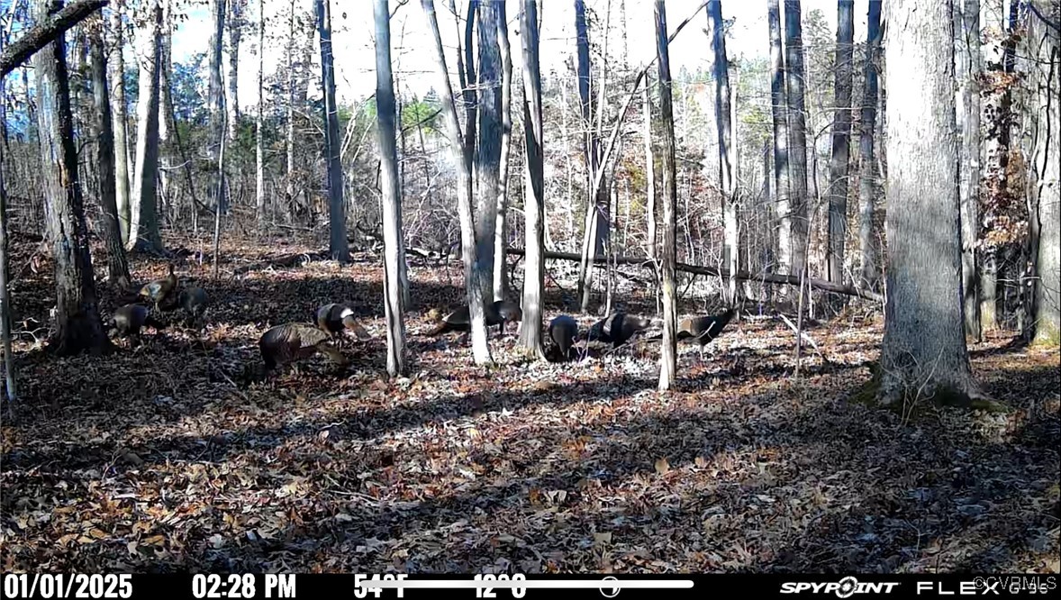 665 Schultz Mill Rd