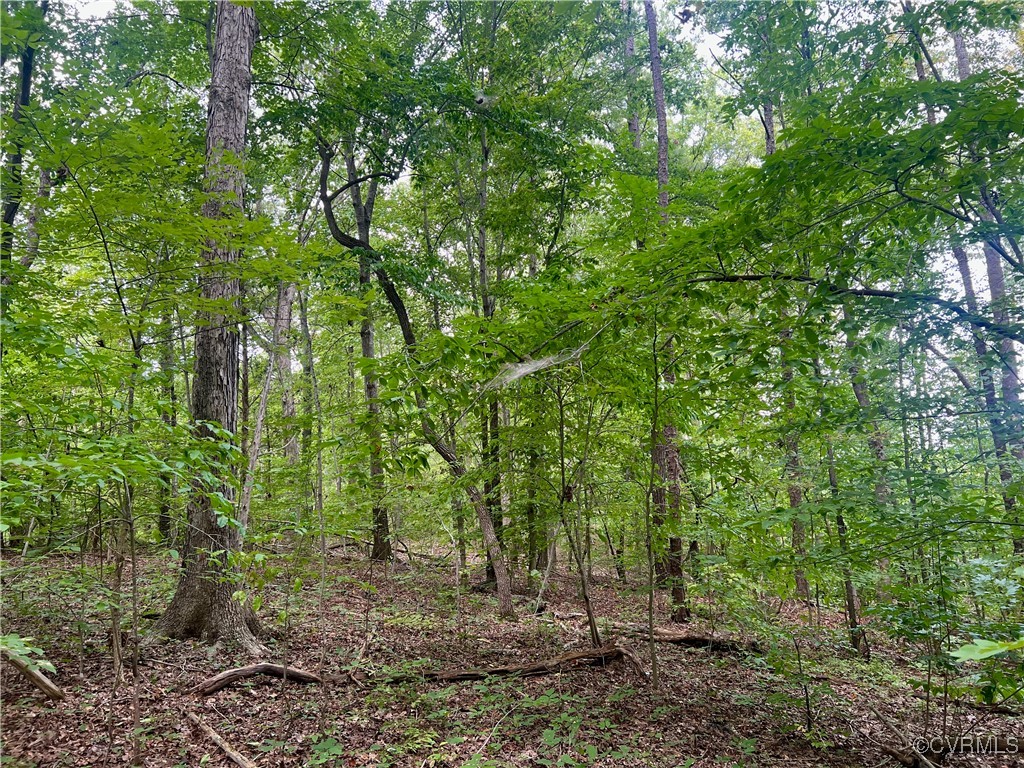 665 Schultz Mill Rd