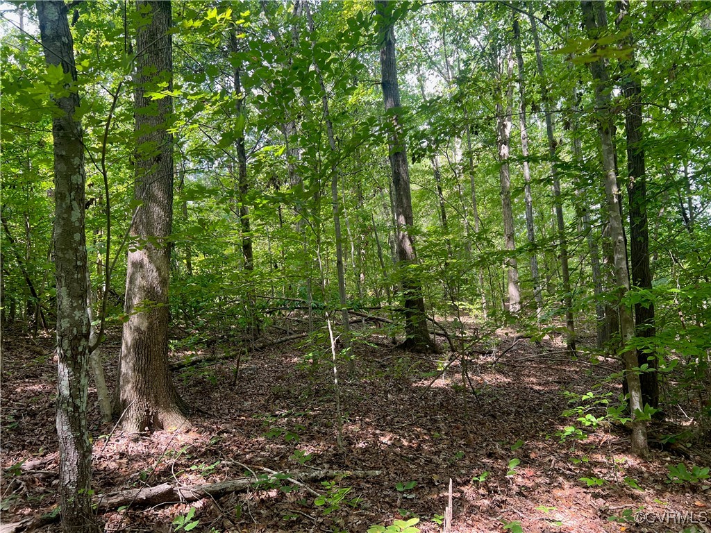 665 Schultz Mill Rd