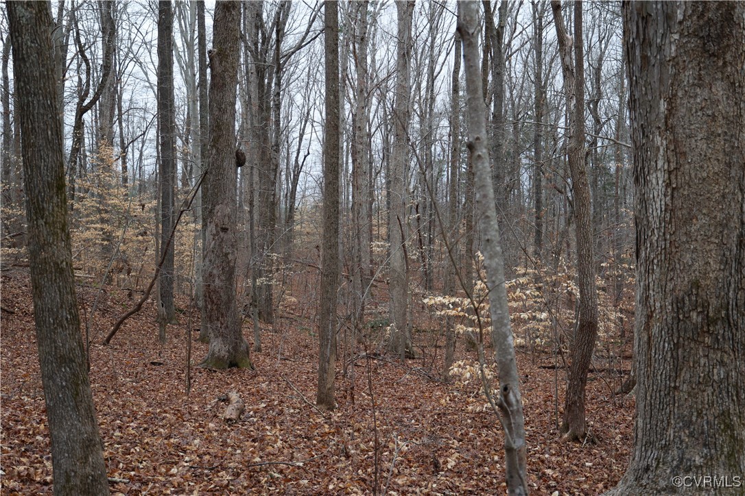 665 Schultz Mill Rd