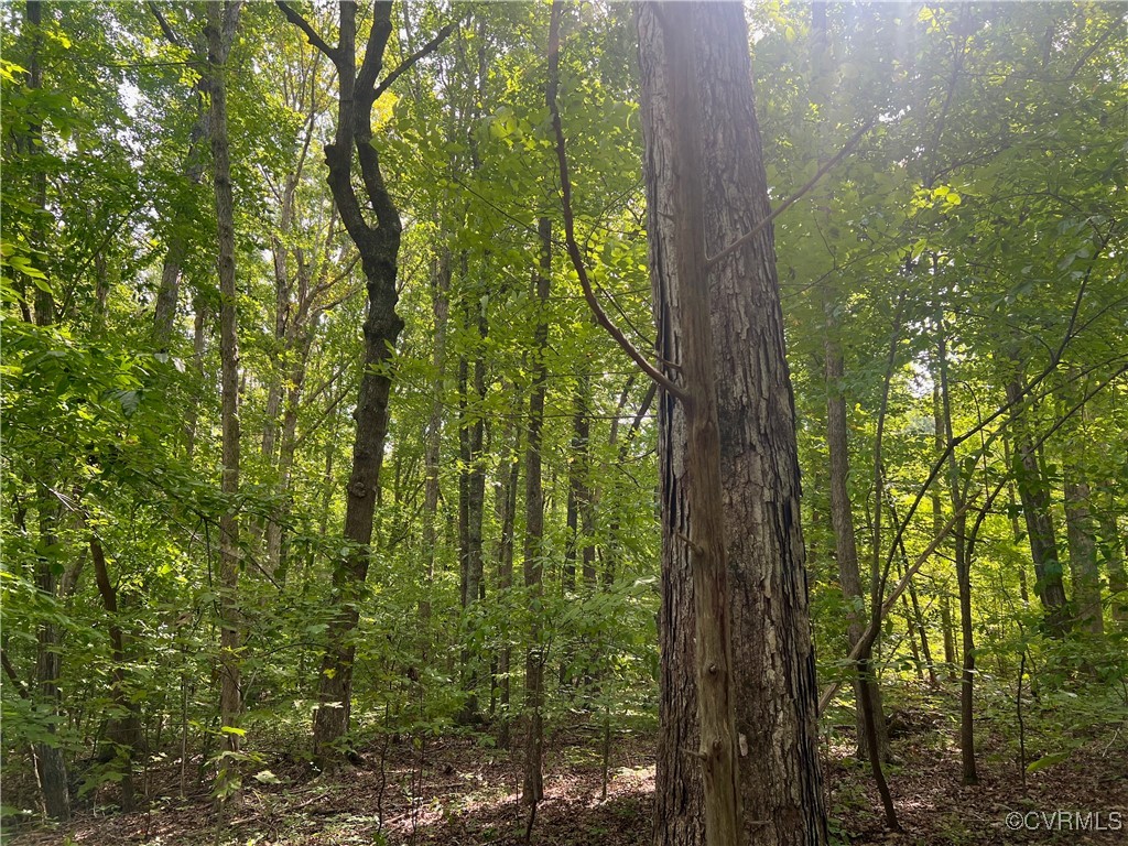 665 Schultz Mill Rd