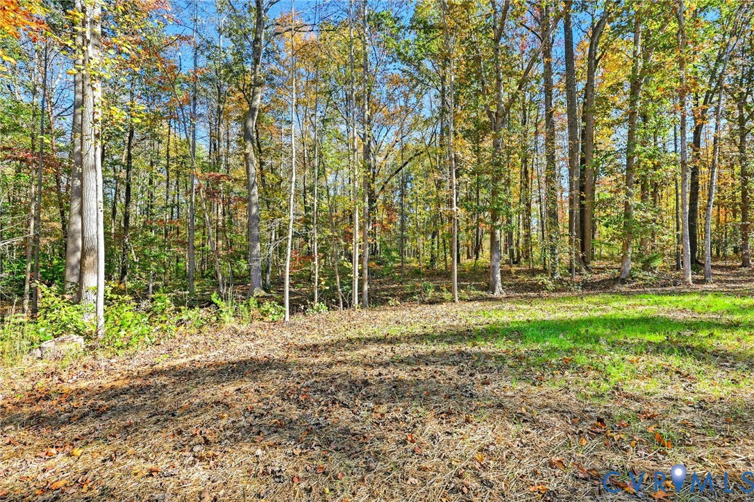 Wooded property with a grassy clearing and tall trees displaying autumn foliage.