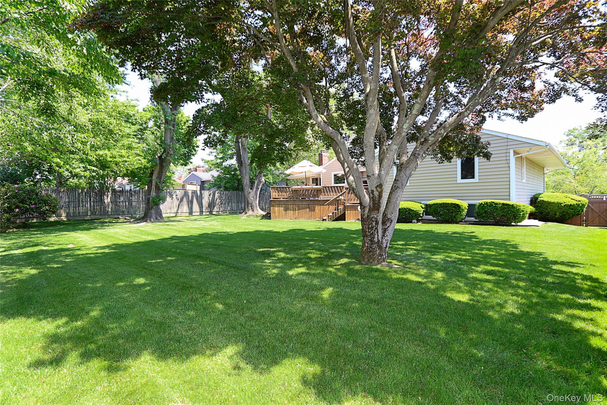 24 Tad Lane
