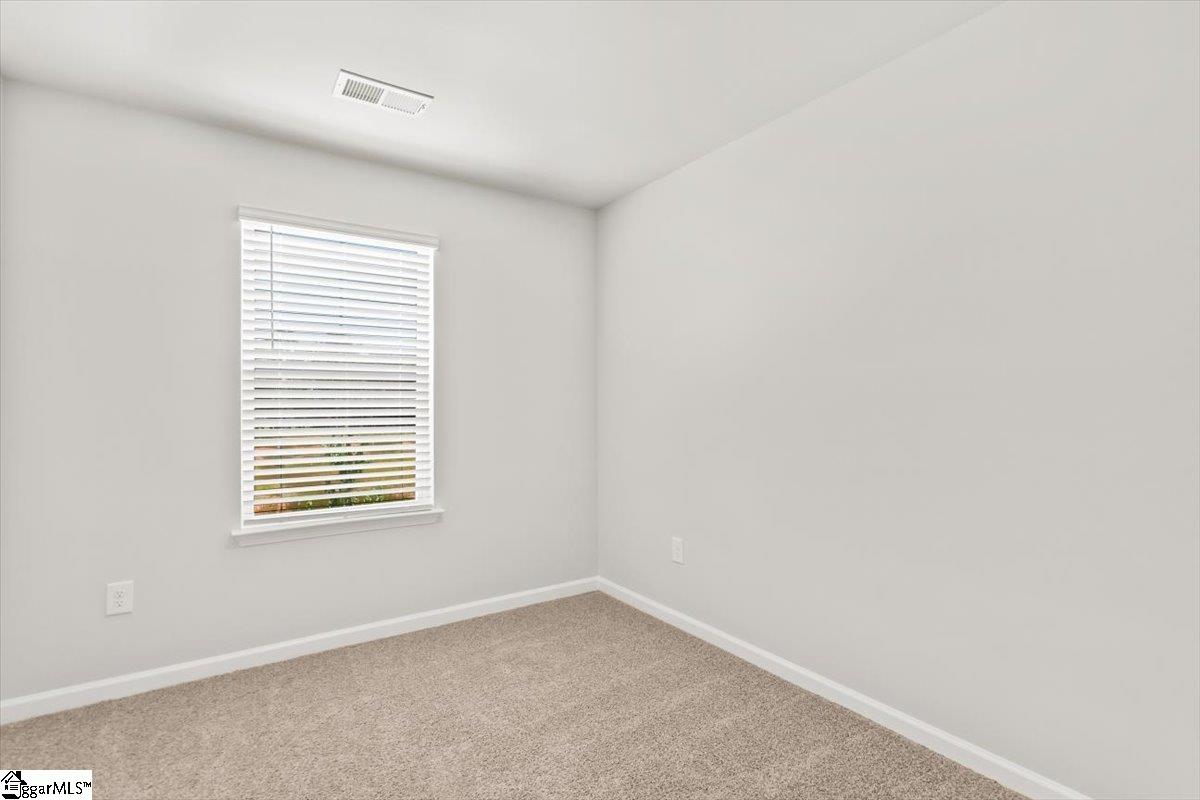 146 Randwick Lane